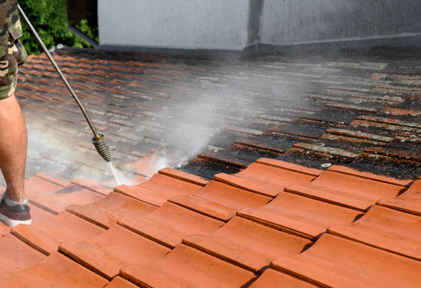 Garage Pressure Washing in Dexter, MI