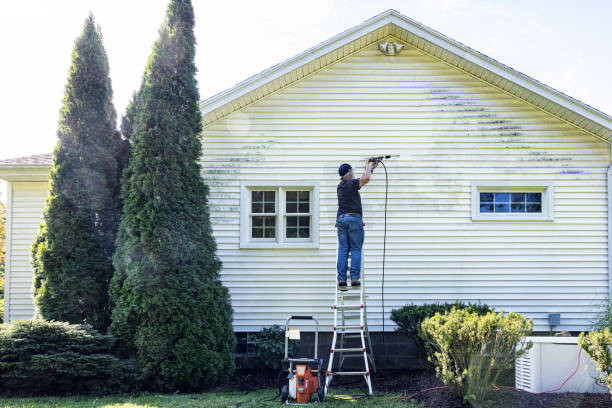 Best Sidewalk Pressure Washing  in Dexter, MI