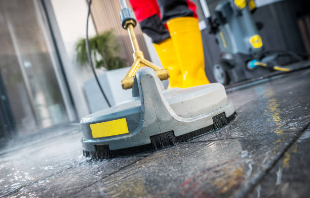 Best Roof Power Washing Services  in Dexter, MI