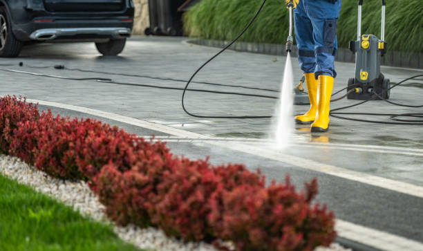 Best House Pressure Washing  in Dexter, MI