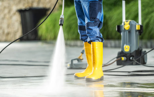 Best Residential Pressure Washing Services  in Dexter, MI