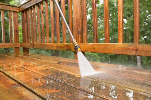 Best Concrete Pressure Washing  in Dexter, MI