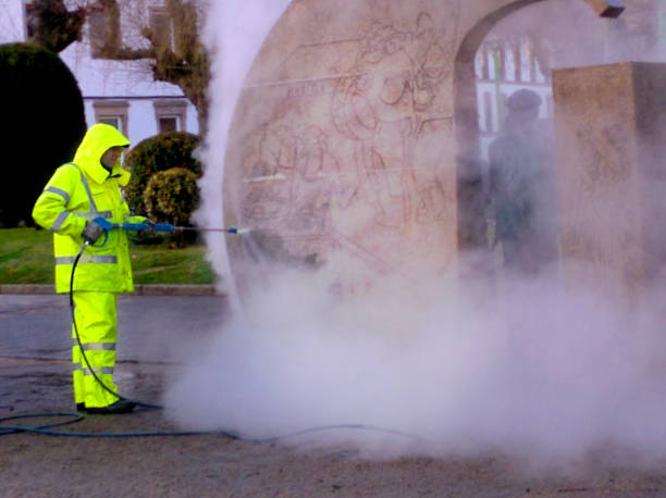 Best Sidewalk Pressure Washing  in Dexter, MI