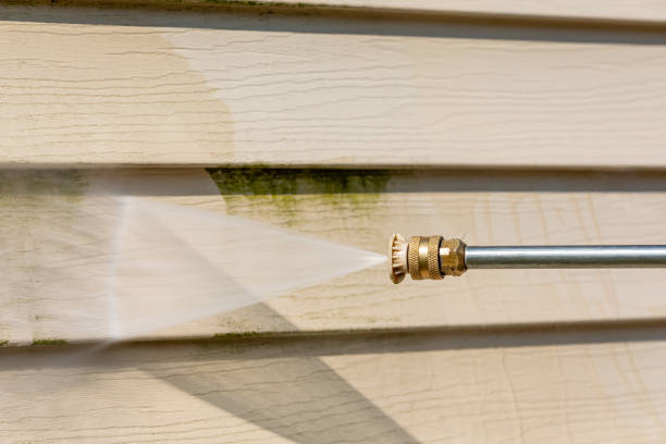 Best Deck Pressure Washing  in Dexter, MI