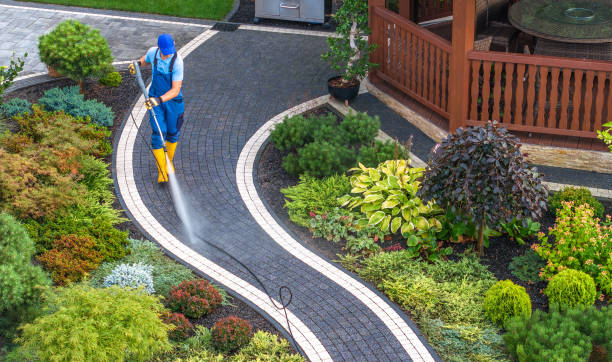 Best Deck Cleaning Services  in Dexter, MI